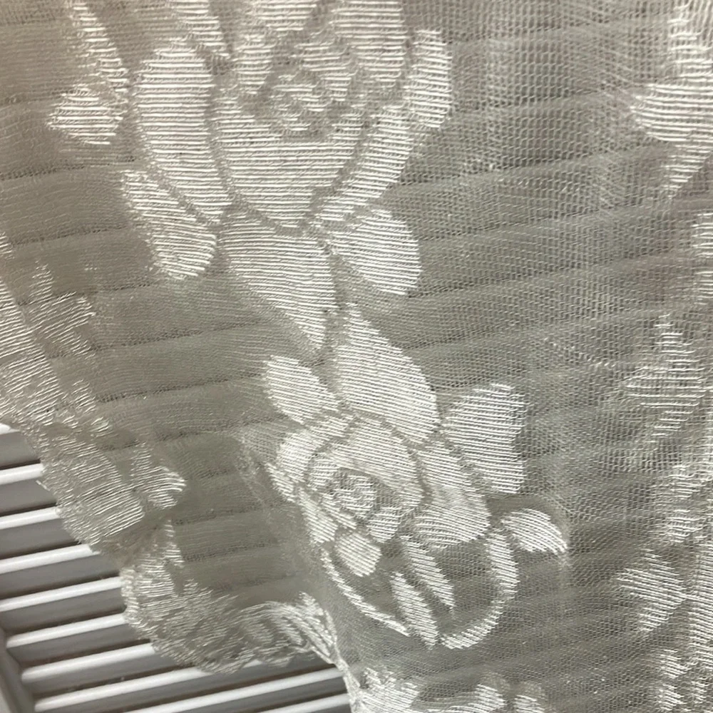 Off White Polyester Lace Placemats set of 2